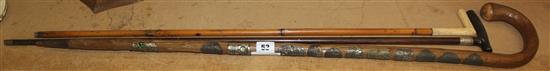 3 walking sticks